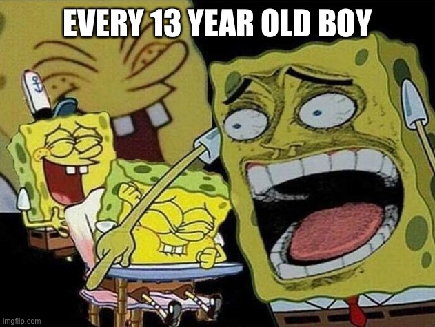 Spongebob laughing Hysterically | EVERY 13 YEAR OLD BOY | image tagged in spongebob laughing hysterically | made w/ Imgflip meme maker