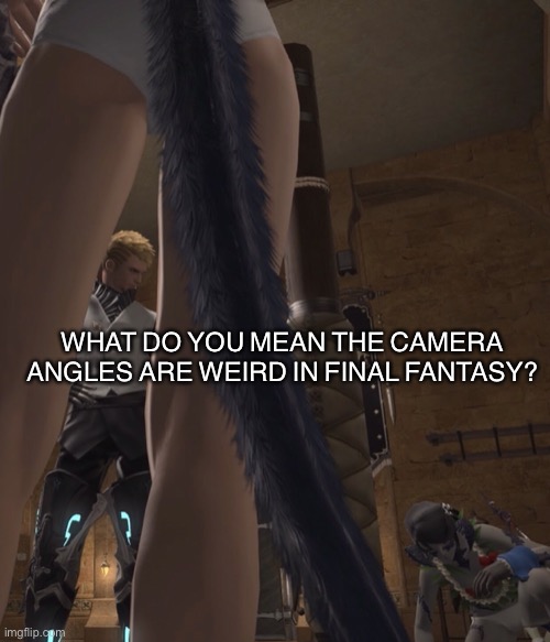 The Game | WHAT DO YOU MEAN THE CAMERA ANGLES ARE WEIRD IN FINAL FANTASY? | image tagged in final fantasy | made w/ Imgflip meme maker