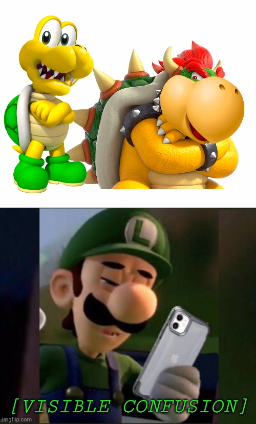 WHY? | [VISIBLE CONFUSION] | image tagged in luigi,confused,bowser,super mario bros,face swap | made w/ Imgflip meme maker