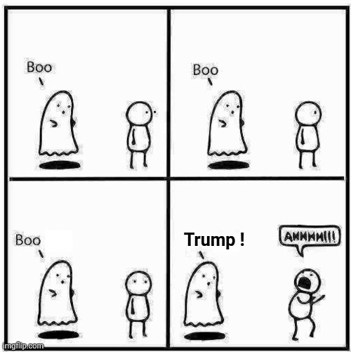 Ghost Boo | Trump ! | image tagged in ghost boo | made w/ Imgflip meme maker