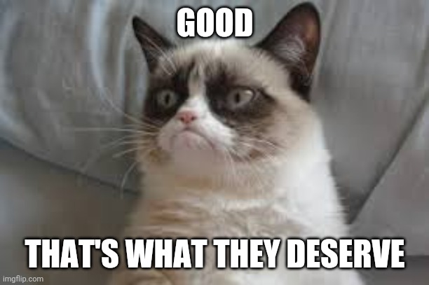 Grumpy cat | GOOD THAT'S WHAT THEY DESERVE | image tagged in grumpy cat | made w/ Imgflip meme maker