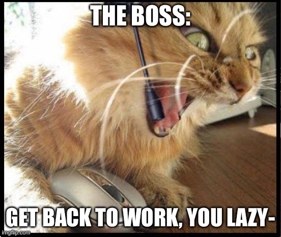 GET BACK TO WORK | THE BOSS: GET BACK TO WORK, YOU LAZY- | image tagged in get back to work | made w/ Imgflip meme maker