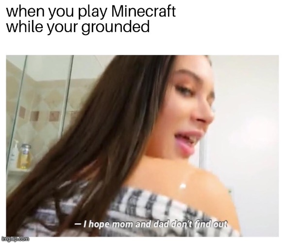 LOL | image tagged in funny,minecraft | made w/ Imgflip meme maker