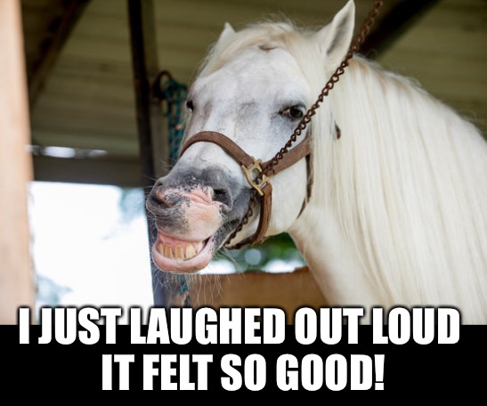 I JUST LAUGHED OUT LOUD 
IT FELT SO GOOD! | made w/ Imgflip meme maker