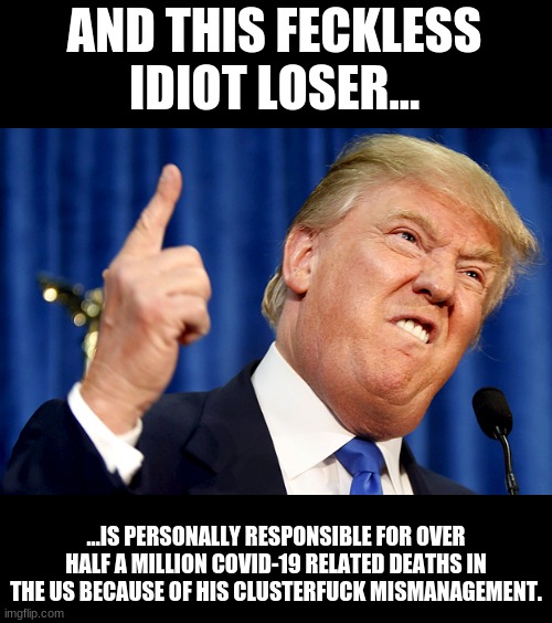 Donald Trump | AND THIS FECKLESS IDIOT LOSER... ...IS PERSONALLY RESPONSIBLE FOR OVER HALF A MILLION COVID-19 RELATED DEATHS IN THE US BECAUSE OF HIS CLUST | image tagged in donald trump | made w/ Imgflip meme maker