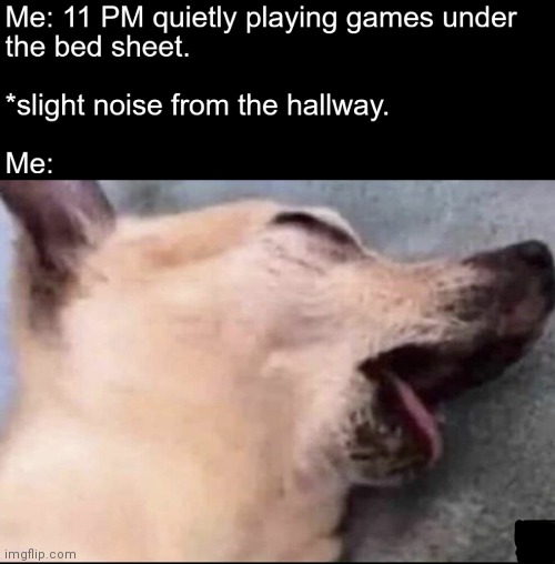 image tagged in memes,hallway,dogs | made w/ Imgflip meme maker