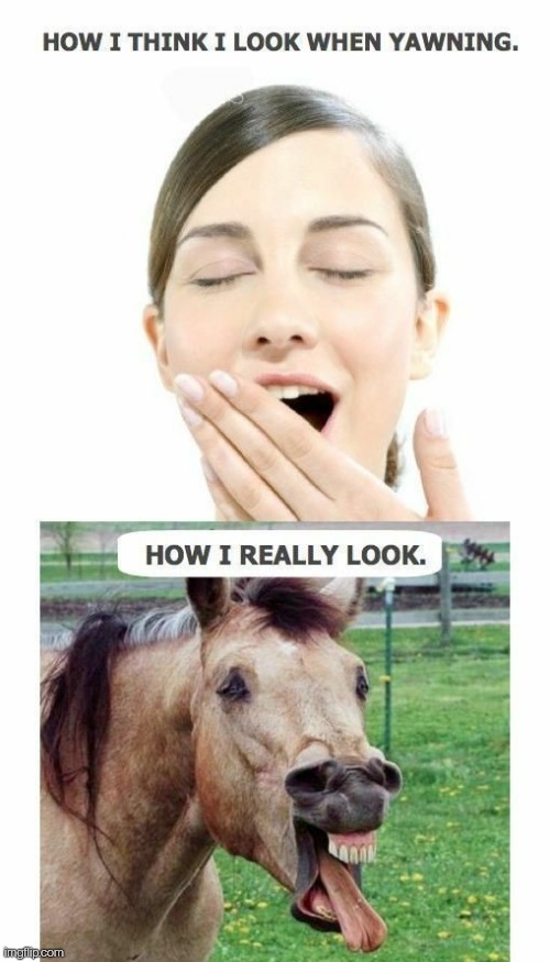 YAWNNNNNN | made w/ Imgflip meme maker