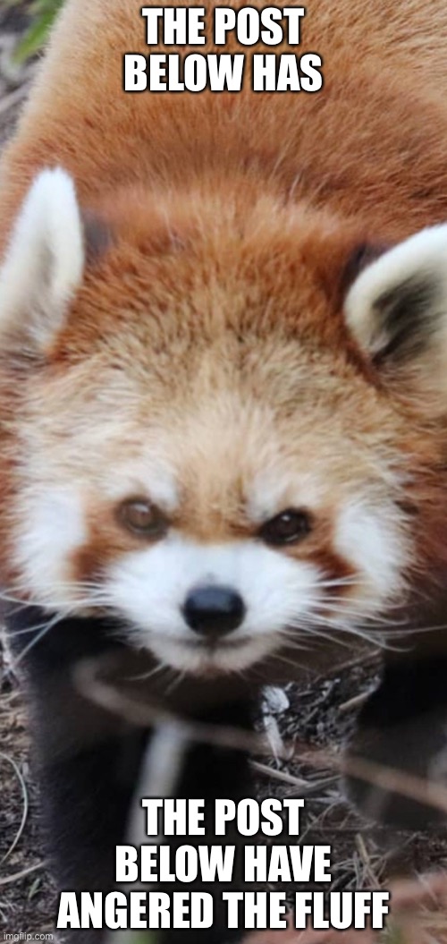 THE POST BELOW HAS; THE POST BELOW HAVE ANGERED THE FLUFF | made w/ Imgflip meme maker