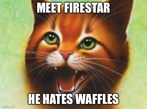 Firestar hates waffles | MEET FIRESTAR; HE HATES WAFFLES | image tagged in warrior cats firestar | made w/ Imgflip meme maker