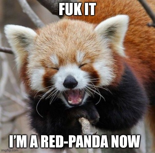 Yes | FUK IT; I’M A RED-PANDA NOW | made w/ Imgflip meme maker