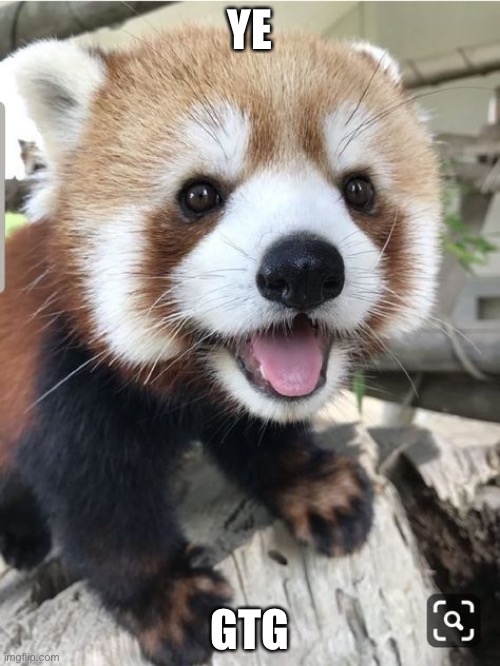 E | YE; GTG | made w/ Imgflip meme maker