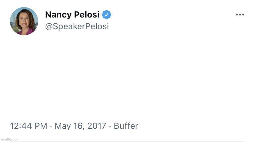 Nancy Pelosi template | image tagged in twitter,template for nutsy | made w/ Imgflip meme maker