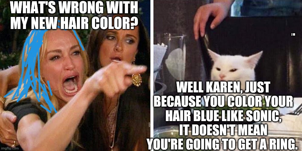 Smudge the cat | WHAT'S WRONG WITH MY NEW HAIR COLOR? J M; WELL KAREN, JUST BECAUSE YOU COLOR YOUR HAIR BLUE LIKE SONIC, IT DOESN'T MEAN YOU'RE GOING TO GET A RING. | image tagged in smudge the cat | made w/ Imgflip meme maker