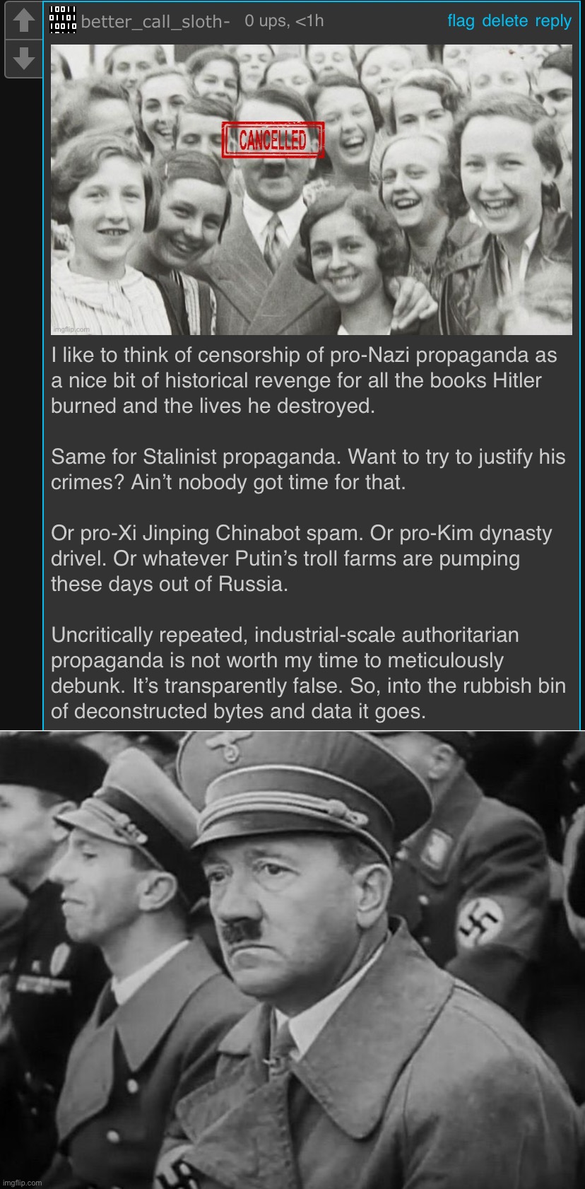 I won’t allow the justification of industrial-scale slaughter on any forum I mod. | image tagged in kyliefan roast fascist propaganda,sad hitler,imgflip mods,mods,propaganda,sounds like communist propaganda | made w/ Imgflip meme maker