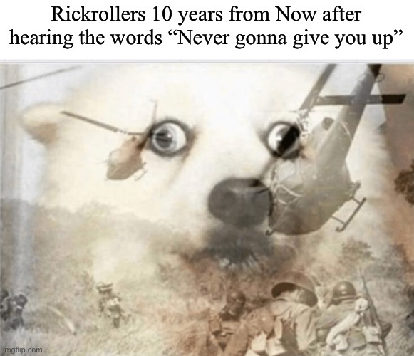 A lot would have changed by then- | Rickrollers 10 years from Now after hearing the words “Never gonna give you up” | image tagged in ptsd dog | made w/ Imgflip meme maker