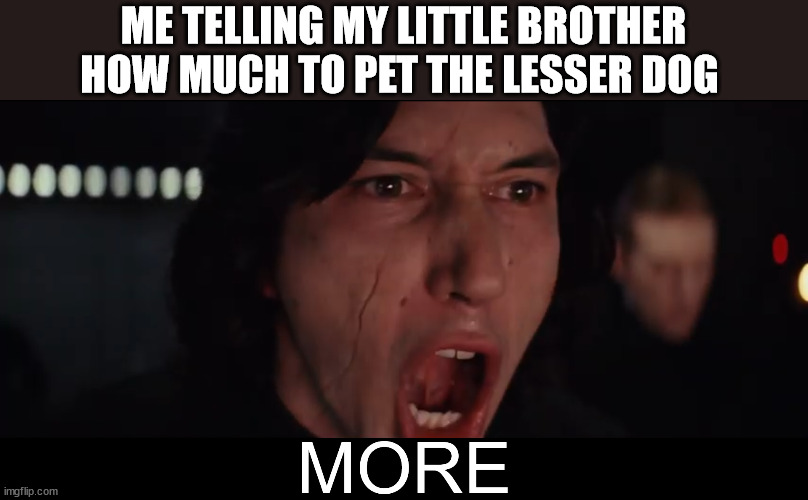 Teach them young | ME TELLING MY LITTLE BROTHER HOW MUCH TO PET THE LESSER DOG | image tagged in kylo ren more,undertale | made w/ Imgflip meme maker