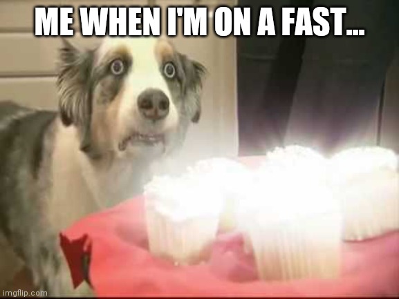 Me when I'm on a fast... | ME WHEN I'M ON A FAST... | image tagged in funny,dog cupcake | made w/ Imgflip meme maker