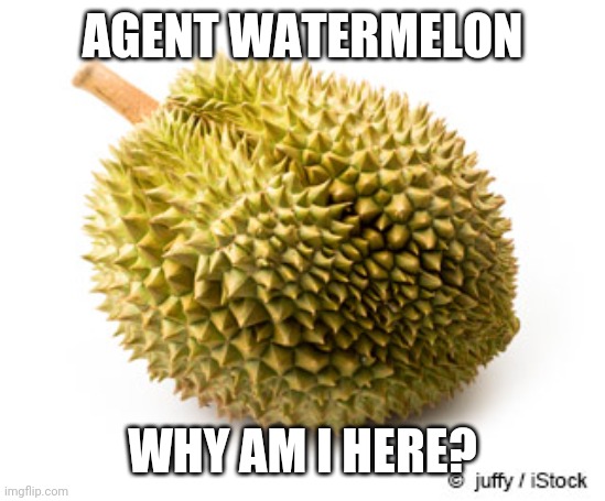 Durian | AGENT WATERMELON WHY AM I HERE? | image tagged in durian | made w/ Imgflip meme maker