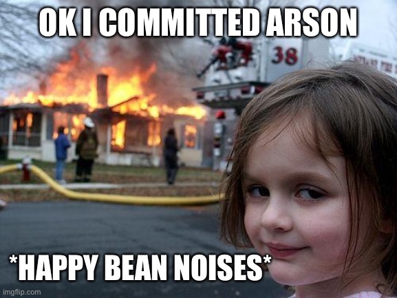 Disaster Girl | OK I COMMITTED ARSON; *HAPPY BEAN NOISES* | image tagged in memes,disaster girl | made w/ Imgflip meme maker