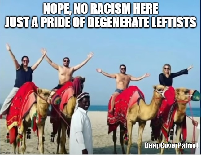 NOPE, NO RACISM HERE
JUST A PRIDE OF DEGENERATE LEFTISTS; DeepCoverPatriot | image tagged in safari | made w/ Imgflip meme maker