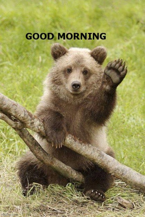 Gm | image tagged in good morning | made w/ Imgflip meme maker