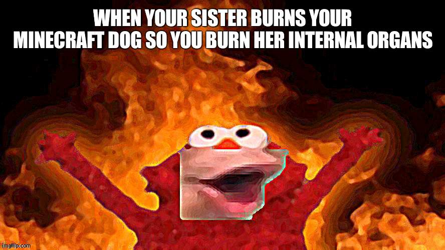 I had the original comment but soul fire made it a temp | WHEN YOUR SISTER BURNS YOUR MINECRAFT DOG SO YOU BURN HER INTERNAL ORGANS | image tagged in elmo pog | made w/ Imgflip meme maker