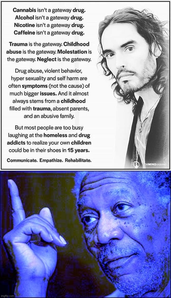 Studies bear this out. Lab rats who are in nurturing environments don’t get addicted. Those who are deprived do. | image tagged in how addiction really works,morgan freeman this blue version,addiction,addict,drug addiction,addicted | made w/ Imgflip meme maker