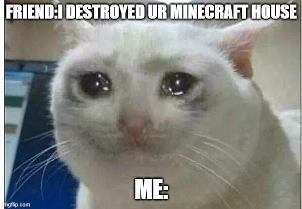 crying cat | FRIEND:I DESTROYED UR MINECRAFT HOUSE; ME: | image tagged in crying cat | made w/ Imgflip meme maker