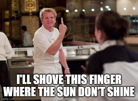Gordon Ramsay | I'LL SHOVE THIS FINGER WHERE THE SUN DON'T SHINE | image tagged in memes | made w/ Imgflip meme maker