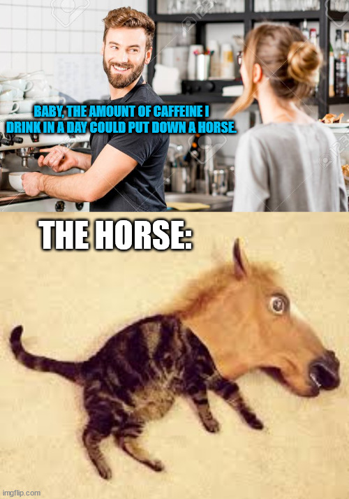 kinda feel like I'm beating off a dead horse... | BABY, THE AMOUNT OF CAFFEINE I DRINK IN A DAY COULD PUT DOWN A HORSE. THE HORSE: | image tagged in barista,man and woman,flirty meme,funny cat,funny animal meme,coffee | made w/ Imgflip meme maker