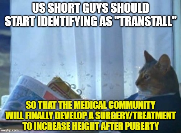 Seems to be the way to get what we want | US SHORT GUYS SHOULD START IDENTIFYING AS "TRANSTALL"; SO THAT THE MEDICAL COMMUNITY WILL FINALLY DEVELOP A SURGERY/TREATMENT TO INCREASE HEIGHT AFTER PUBERTY | image tagged in memes,i should buy a boat cat,tall,trans,medical,surgery | made w/ Imgflip meme maker