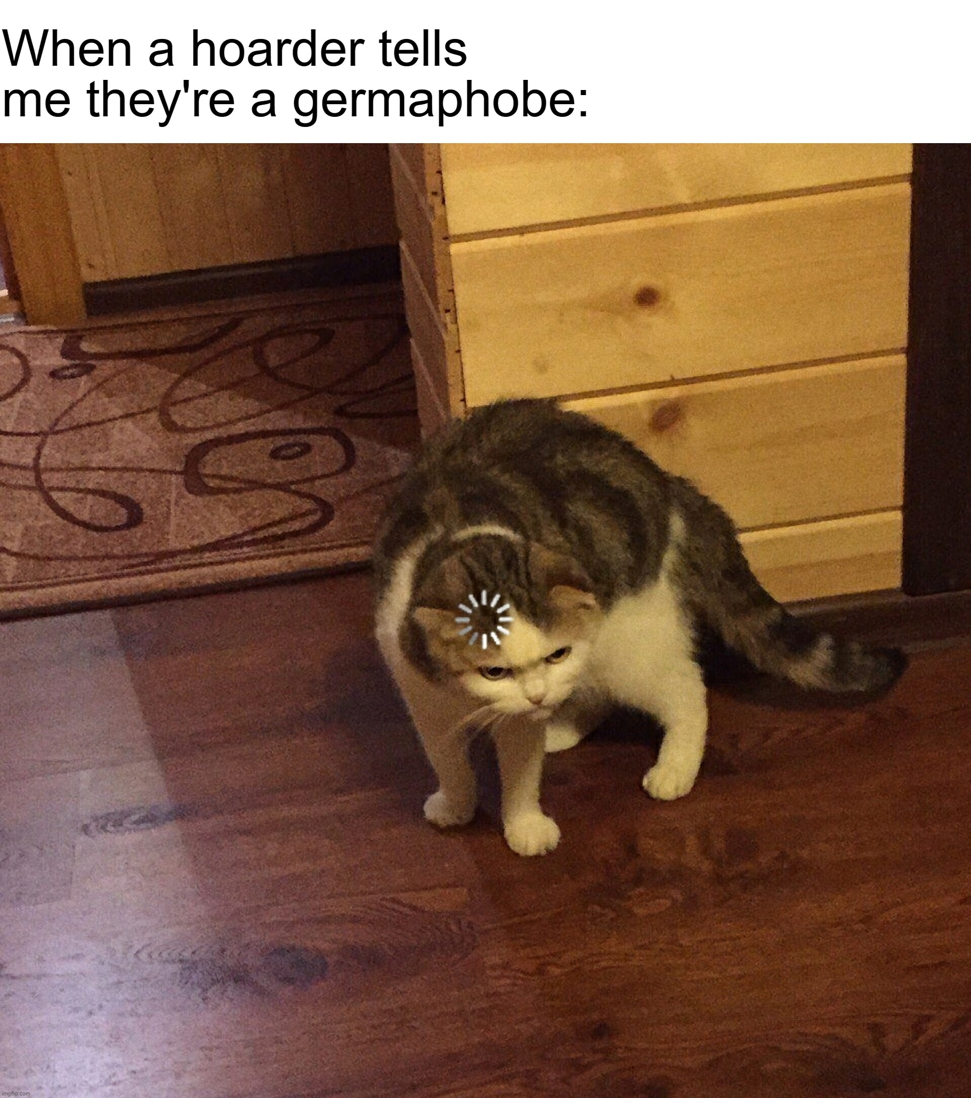 buffering cat | When a hoarder tells me they're a germaphobe: | image tagged in buffering cat | made w/ Imgflip meme maker