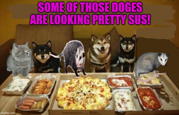 Doge pizza party... | SOME OF THOSE DOGES ARE LOOKING PRETTY SUS! | image tagged in doge,pizza,party,possum,cute cat,but why why would you do that | made w/ Imgflip meme maker