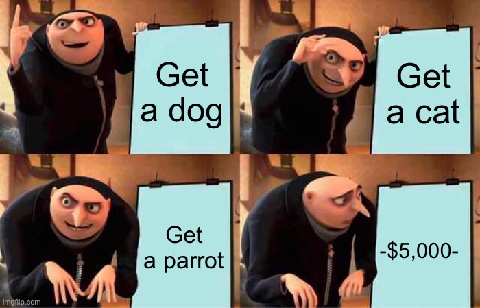 Gru's Plan Meme | Get a dog; Get a cat; Get a parrot; -$5,000- | image tagged in memes,gru's plan | made w/ Imgflip meme maker