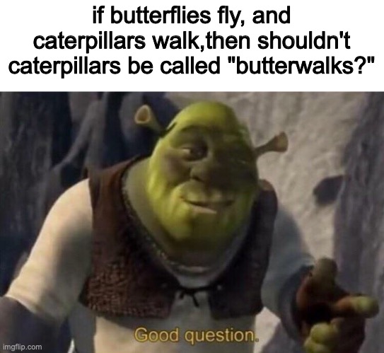 shrek good question | if butterflies fly, and caterpillars walk,then shouldn't caterpillars be called "butterwalks?" | image tagged in shrek good question | made w/ Imgflip meme maker