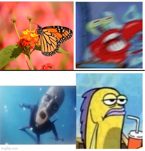 Srsly this is what science says | image tagged in excited vs bored,butterfly,moth,butterfly man,lol | made w/ Imgflip meme maker