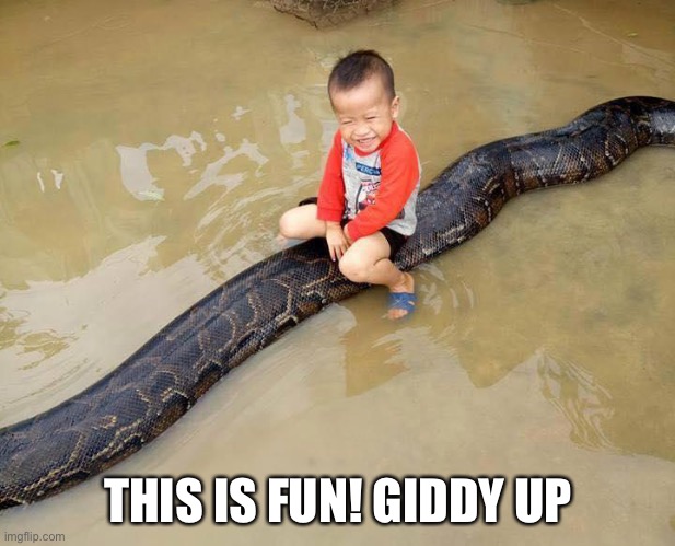 THIS IS FUN! GIDDY UP | made w/ Imgflip meme maker