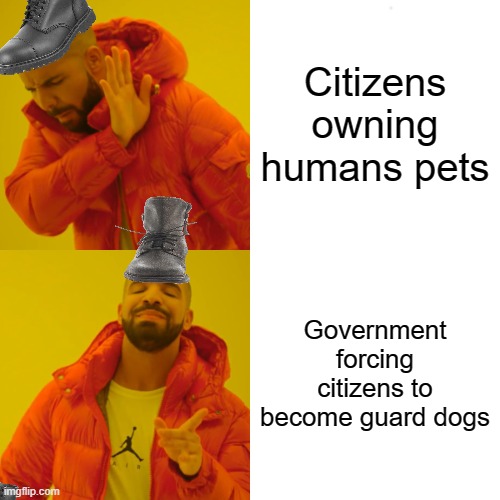 Drake Hotline Bling Meme | Citizens owning humans pets; Government forcing citizens to become guard dogs | image tagged in memes,drake hotline bling | made w/ Imgflip meme maker