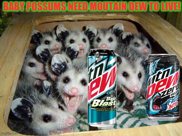 Possums love mtn dew! | BABY POSSUMS NEED MOUTAIN DEW TO LIVE! | image tagged in possum baby,possum,mountain dew,buy,just do it | made w/ Imgflip meme maker