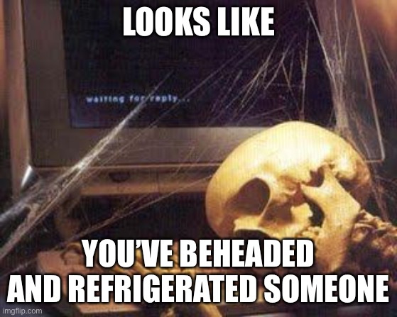 Waiting Skull | LOOKS LIKE YOU’VE BEHEADED AND REFRIGERATED SOMEONE | image tagged in waiting skull | made w/ Imgflip meme maker