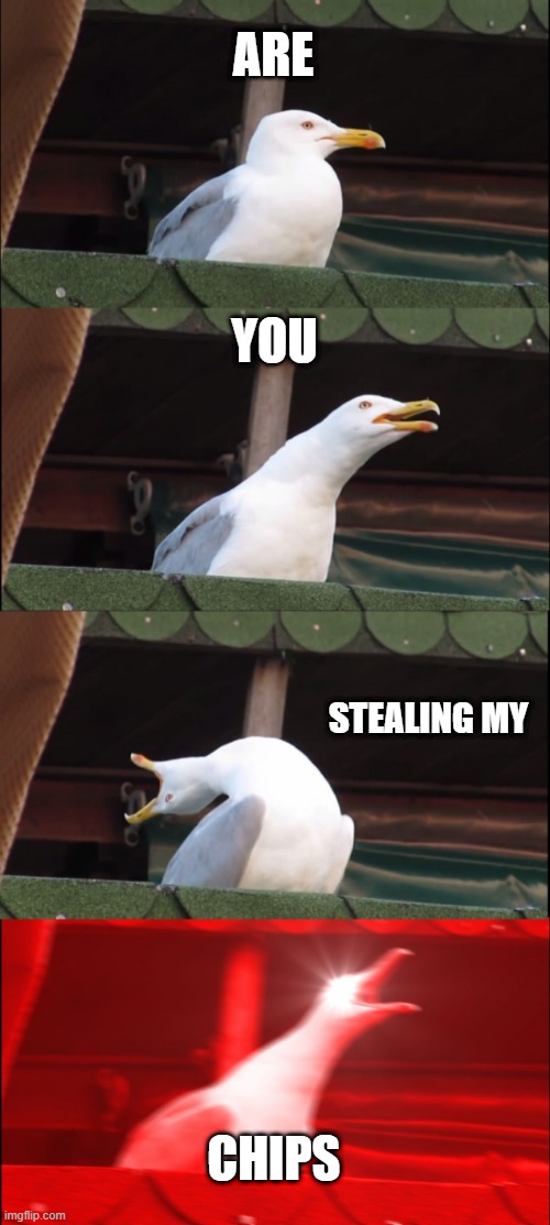 Inhaling Seagull | ARE; YOU; STEALING MY; CHIPS | image tagged in memes,inhaling seagull | made w/ Imgflip meme maker