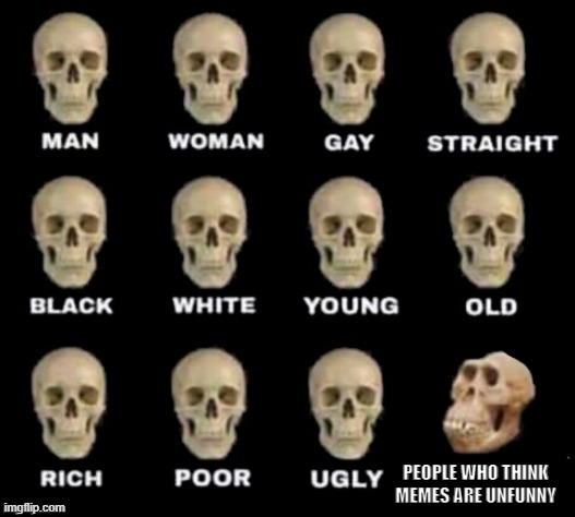 idiot skull | PEOPLE WHO THINK MEMES ARE UNFUNNY | image tagged in idiot skull | made w/ Imgflip meme maker