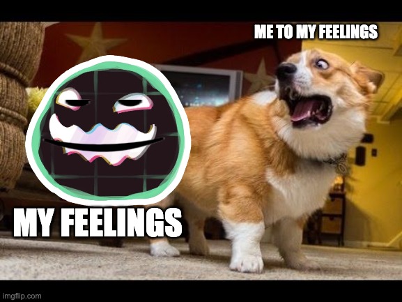 Me to my feelings ;^; | ME TO MY FEELINGS; MY FEELINGS | image tagged in scared corgi | made w/ Imgflip meme maker
