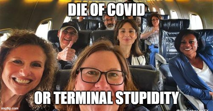 Texas Dems | DIE OF COVID; OR TERMINAL STUPIDITY | image tagged in texas,democrats | made w/ Imgflip meme maker