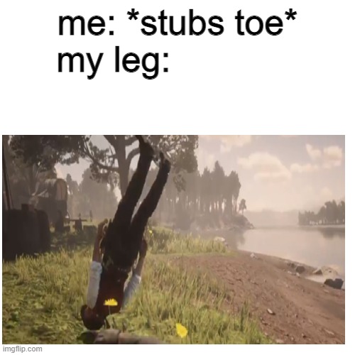 a mock meme | me: *stubs toe*
my leg: | image tagged in toes,wardrobe malfunction | made w/ Imgflip meme maker
