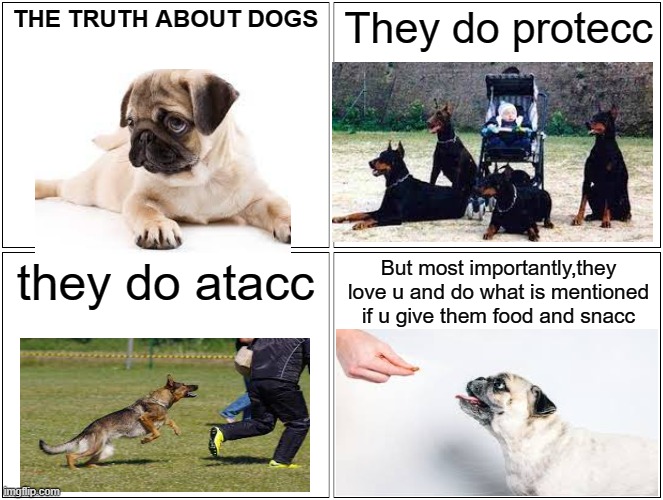 Dogs love food, and they will do anything for anyone who gives them food | THE TRUTH ABOUT DOGS; They do protecc; they do atacc; But most importantly,they love u and do what is mentioned if u give them food and snacc | image tagged in memes,blank comic panel 2x2 | made w/ Imgflip meme maker