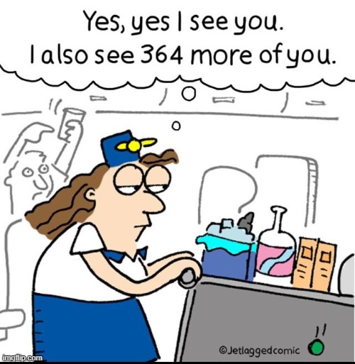 Airline Attendant Service | image tagged in memes,comics,flight attendant,ignore,passenger,i could use a drink | made w/ Imgflip meme maker