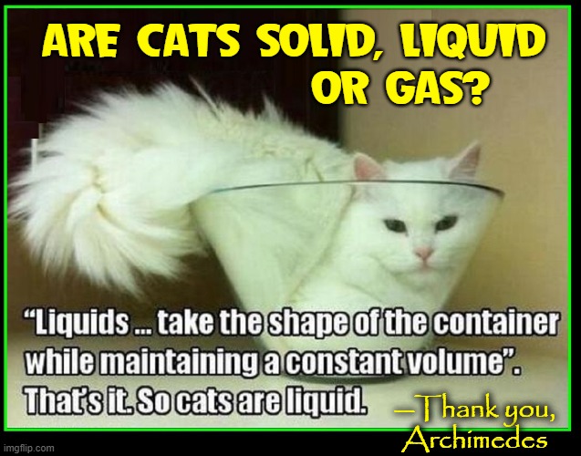 A Scientific Discovery Revealed on Imgflip | ARE CATS SOLID, LIQUID
            OR GAS? —Thank you,
Archimedes | image tagged in vince vance,archimedes,cats,memes,science,mathematics | made w/ Imgflip meme maker
