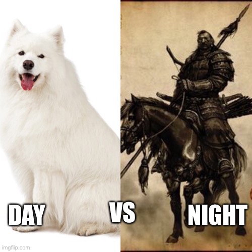 Samoyed | DAY; NIGHT; VS | image tagged in memes | made w/ Imgflip meme maker