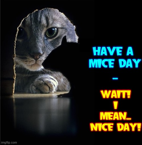 Patience is having Chocolate Mousse' for Dessert |  WAIT! I MEAN... NICE DAY! HAVE A 
MICE DAY
... | image tagged in vince vance,cats,memes,cat and mouse,tom and jerry,have a nice day | made w/ Imgflip meme maker